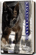 flipbook encatopledia