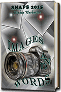 link flipbook snaps 2015